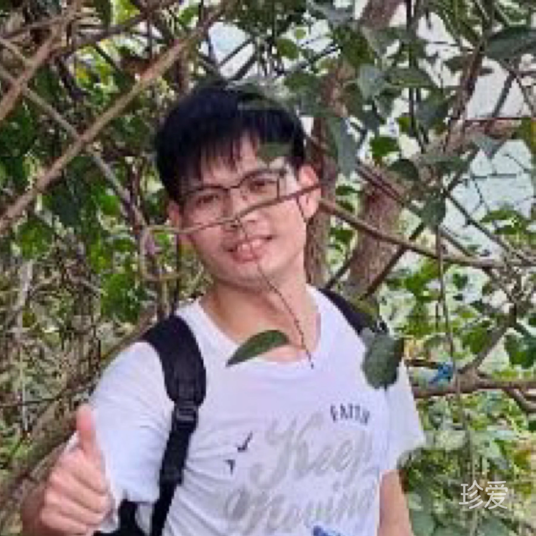 会员1574113385