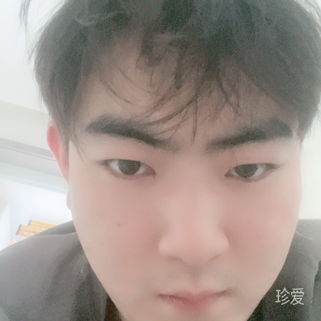 龙猫不单调