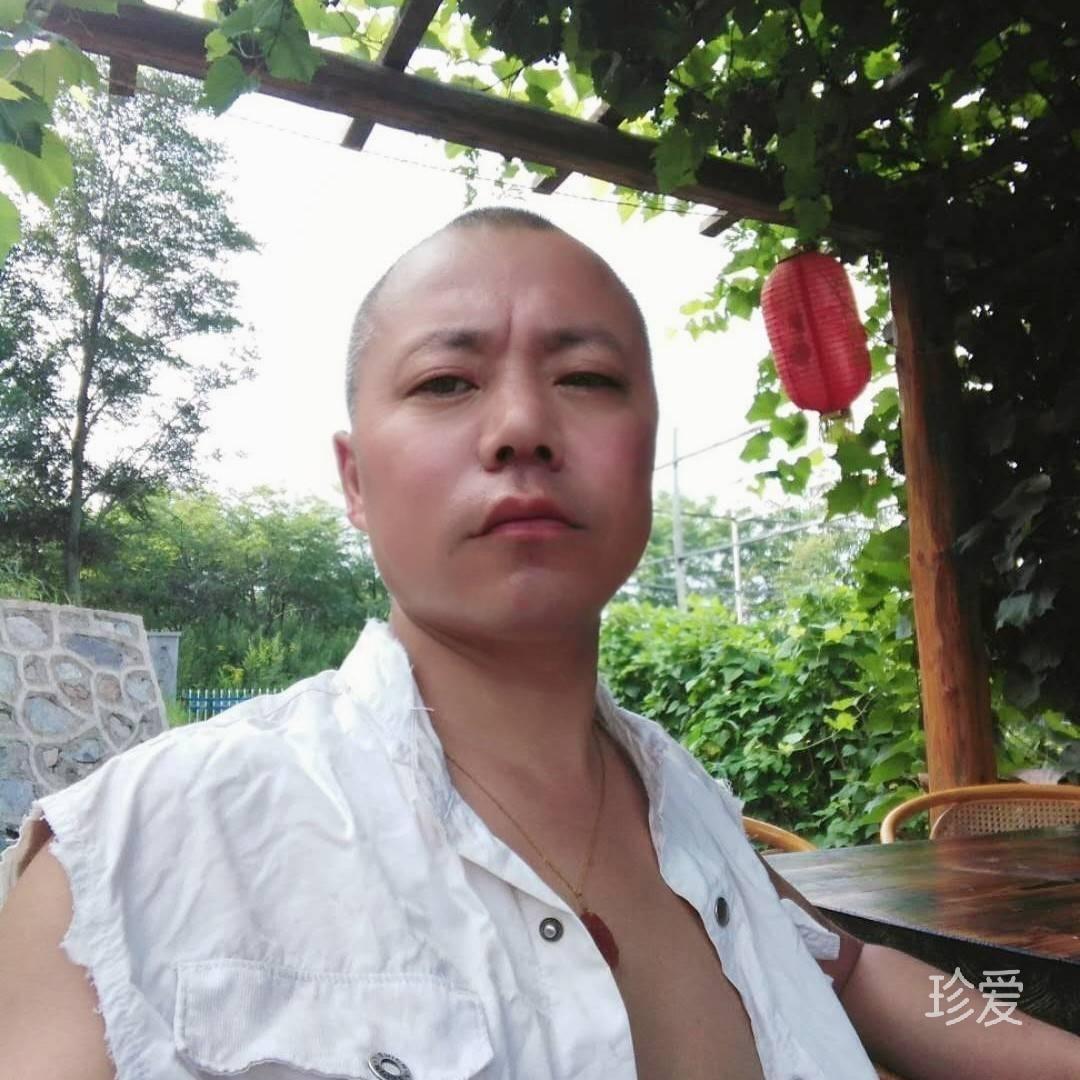 老实人