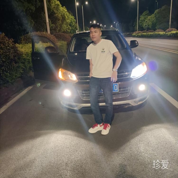 陽光下的向日葵