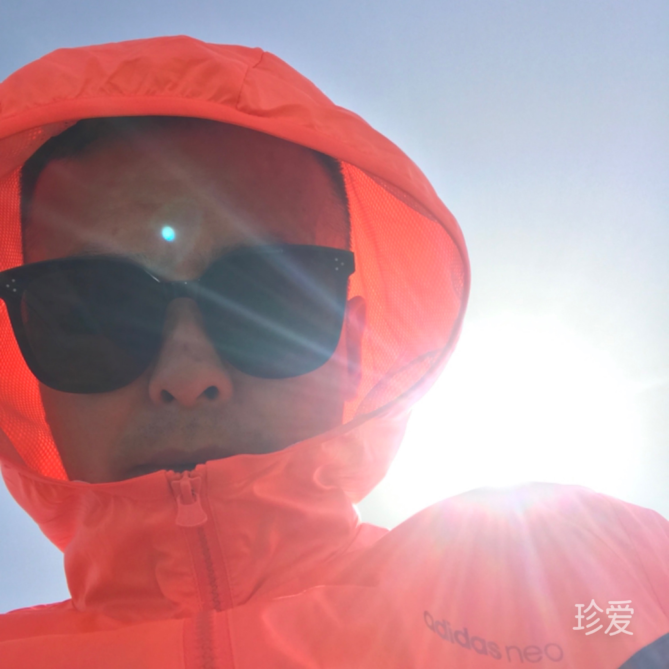 三寸季光不忘卿