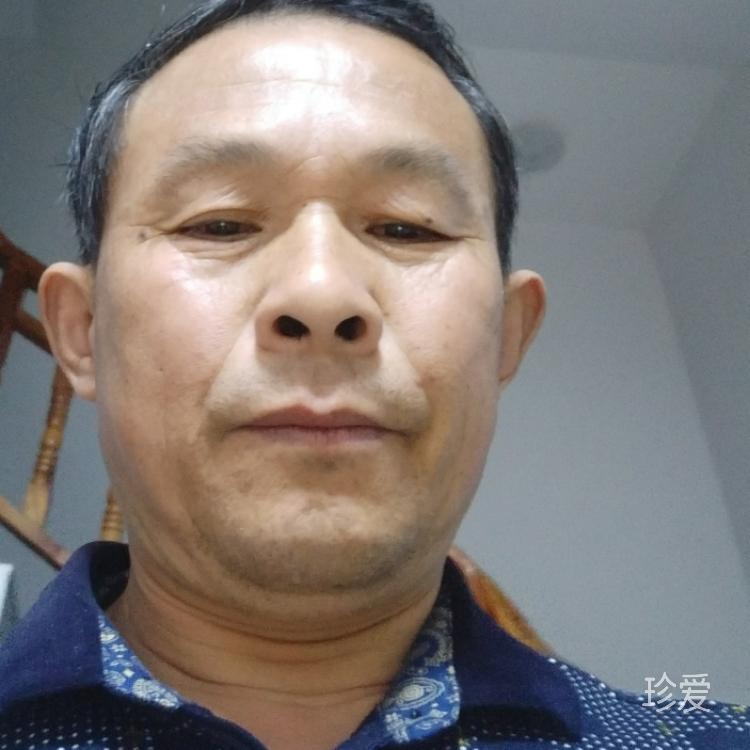 老叶