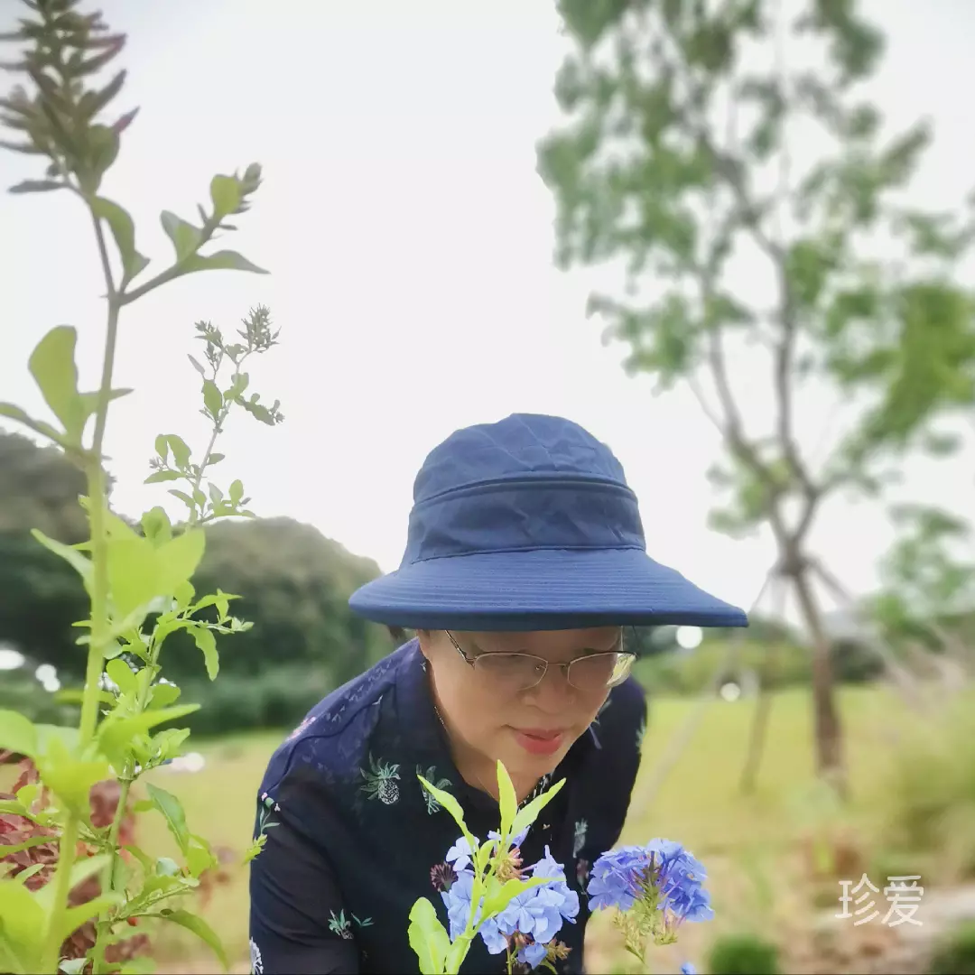 莲子
