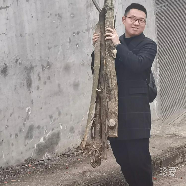随缘