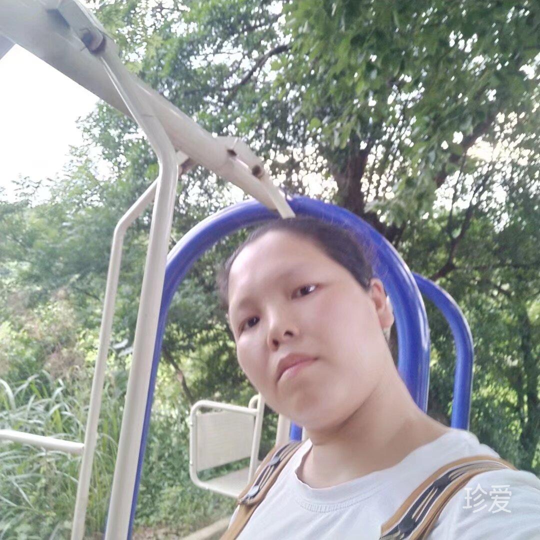 琴琴
