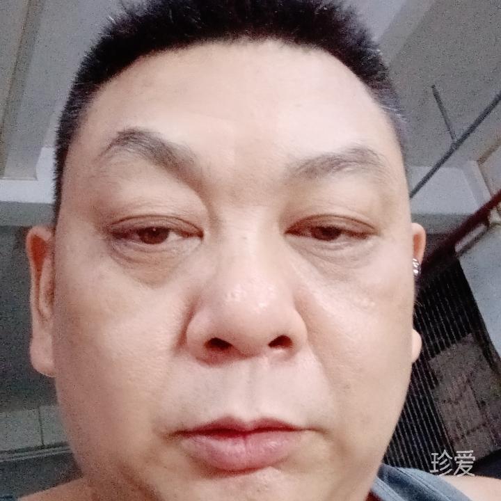 哥哥转角遇到猪