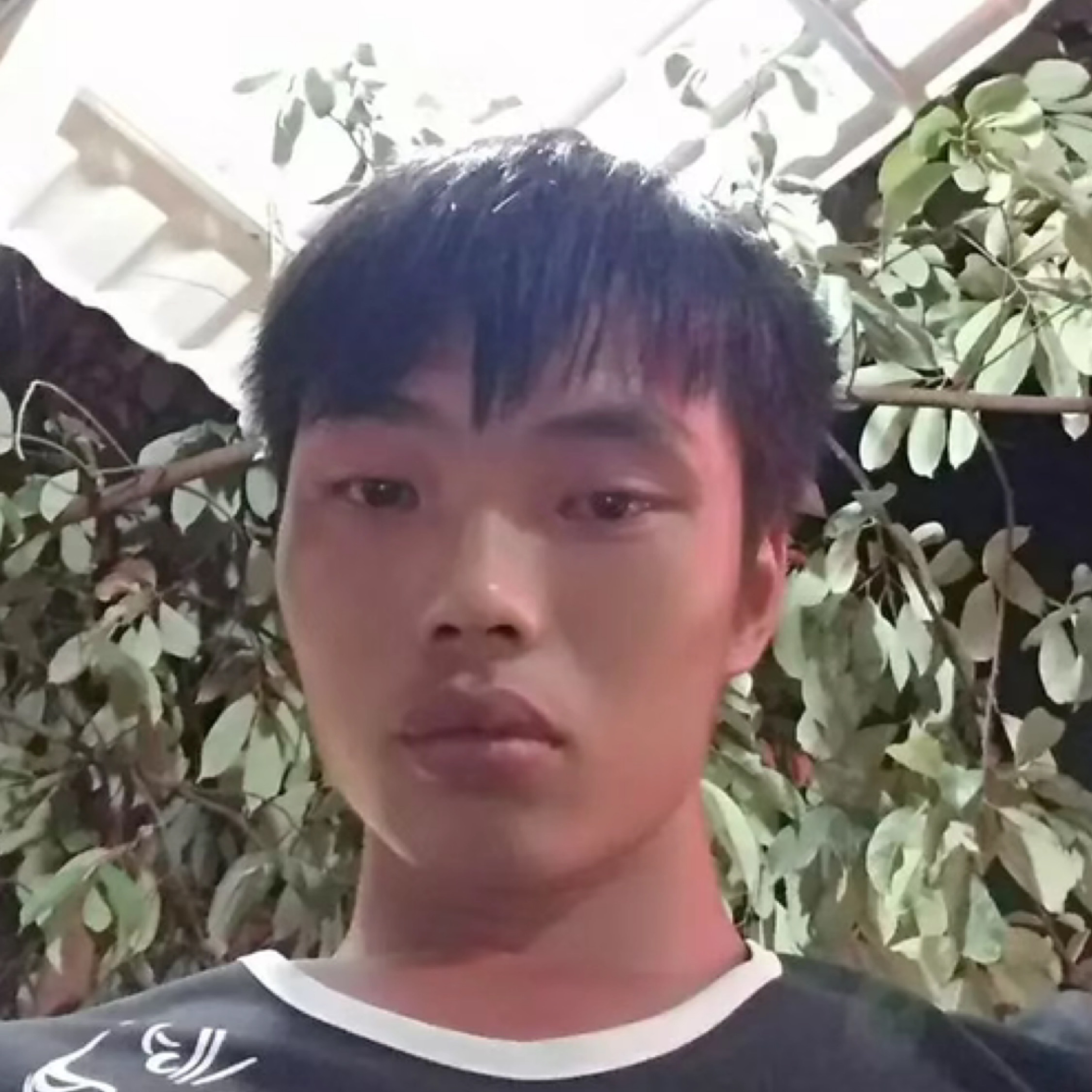 冷眼看世界丶灬