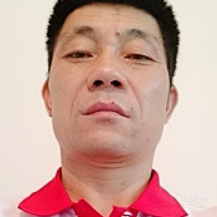 只求一份安定
