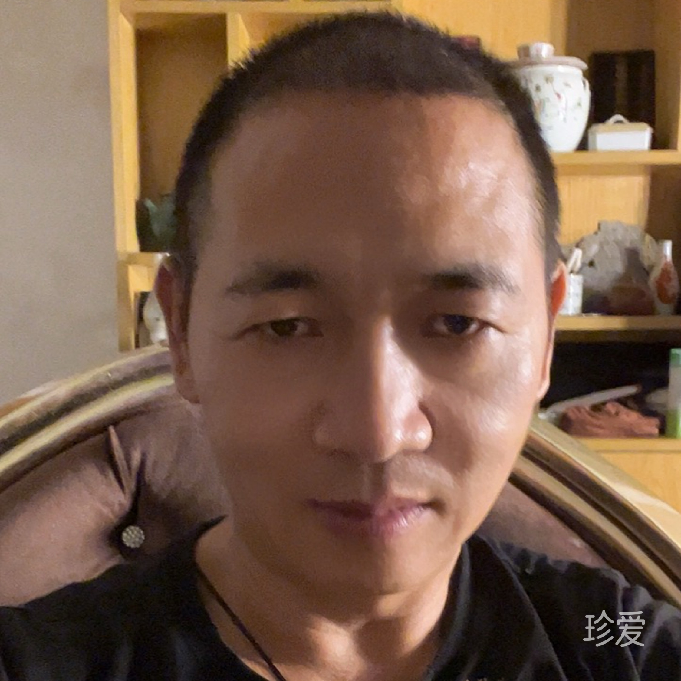 一棵树