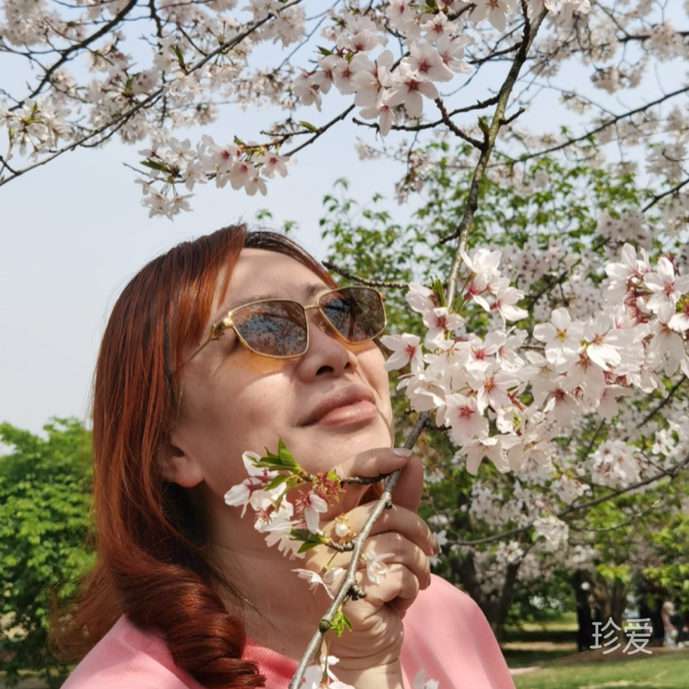 也許明天會更好