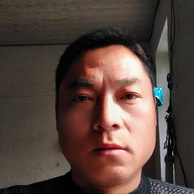 春风吹落花多少