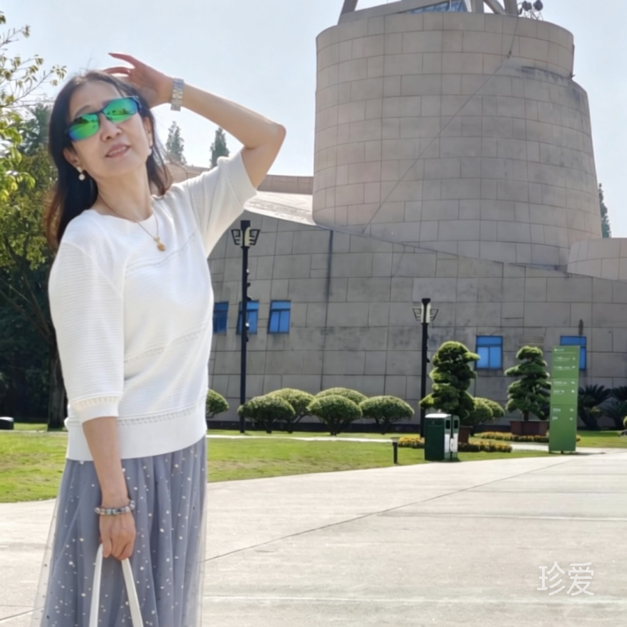 淡淡的月光