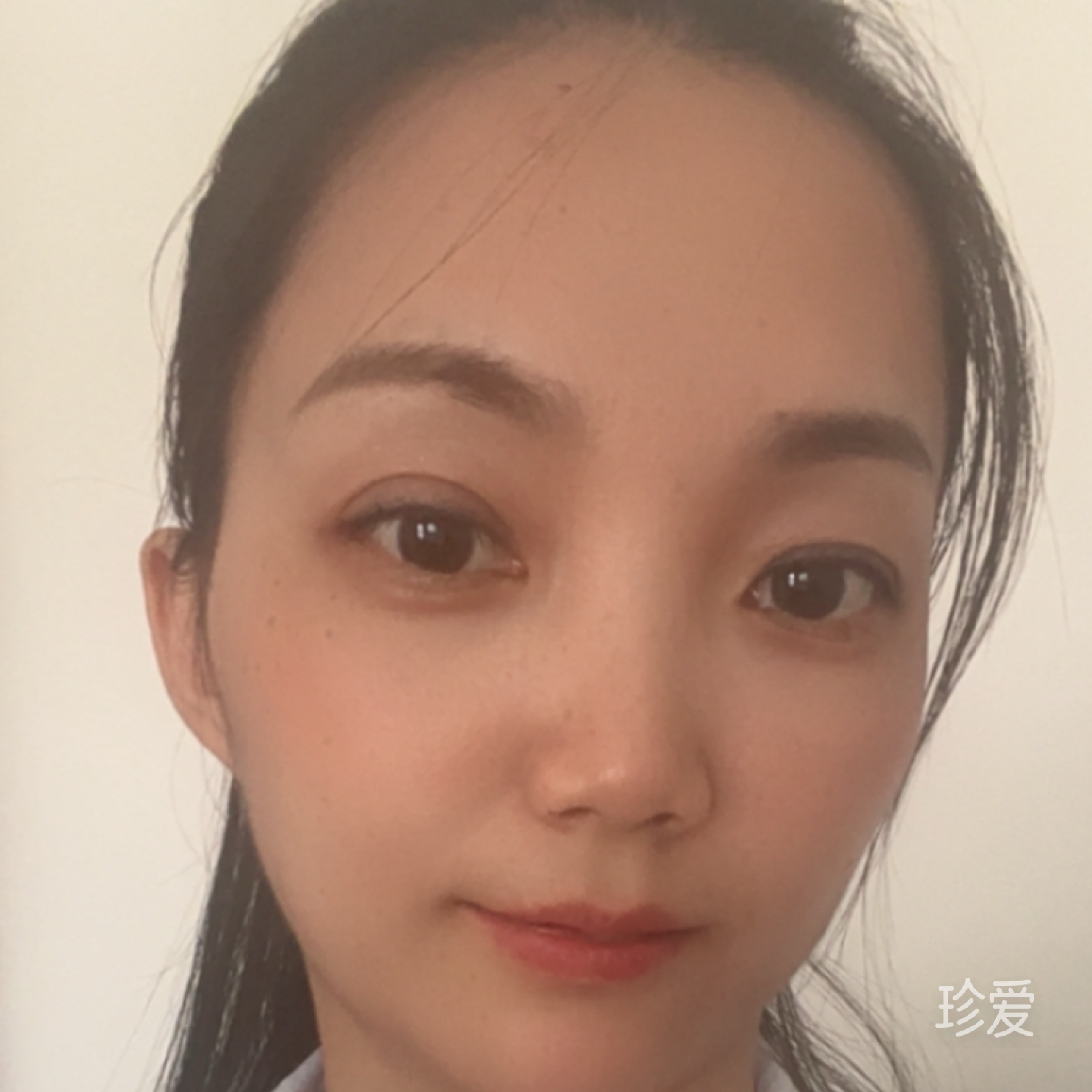 87的兔