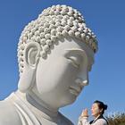 遠(yuǎn)風(fēng)