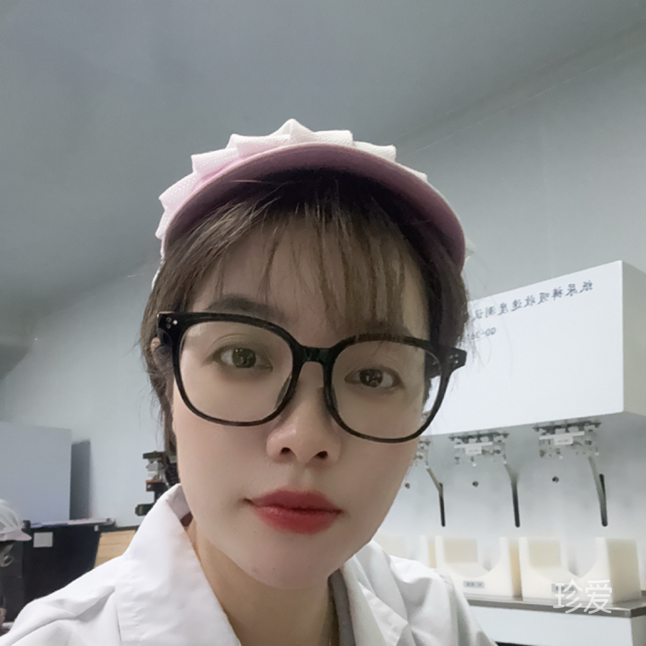 羊羔