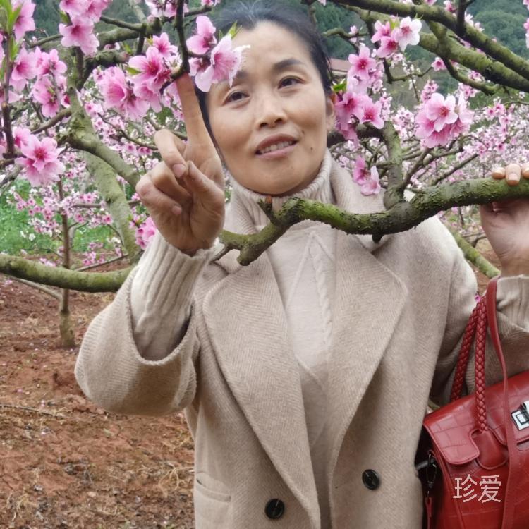 花开花落