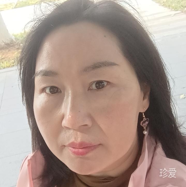 我是一只猫