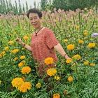 靜待花開(kāi)