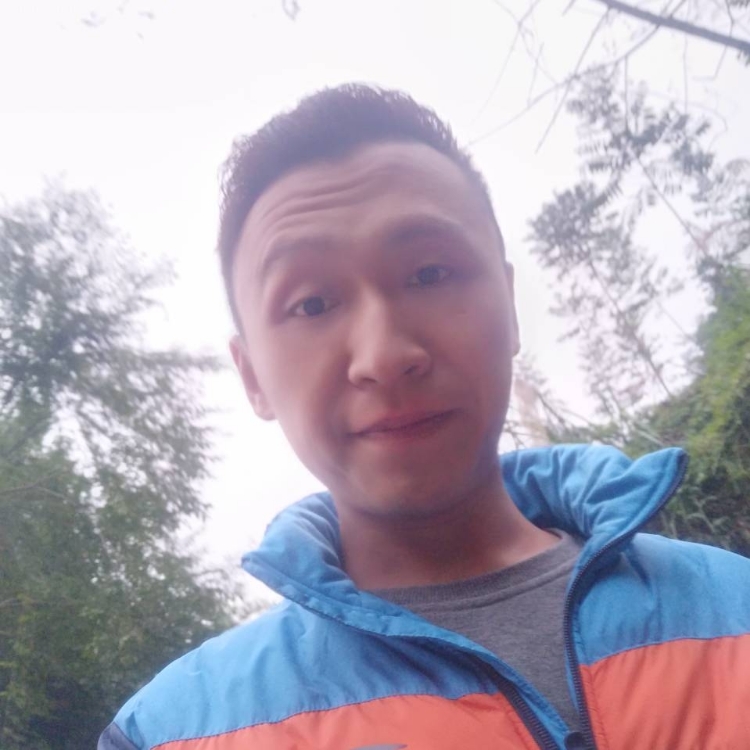 这个杀手不太冷