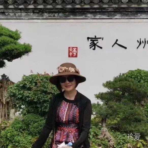 风和日丽