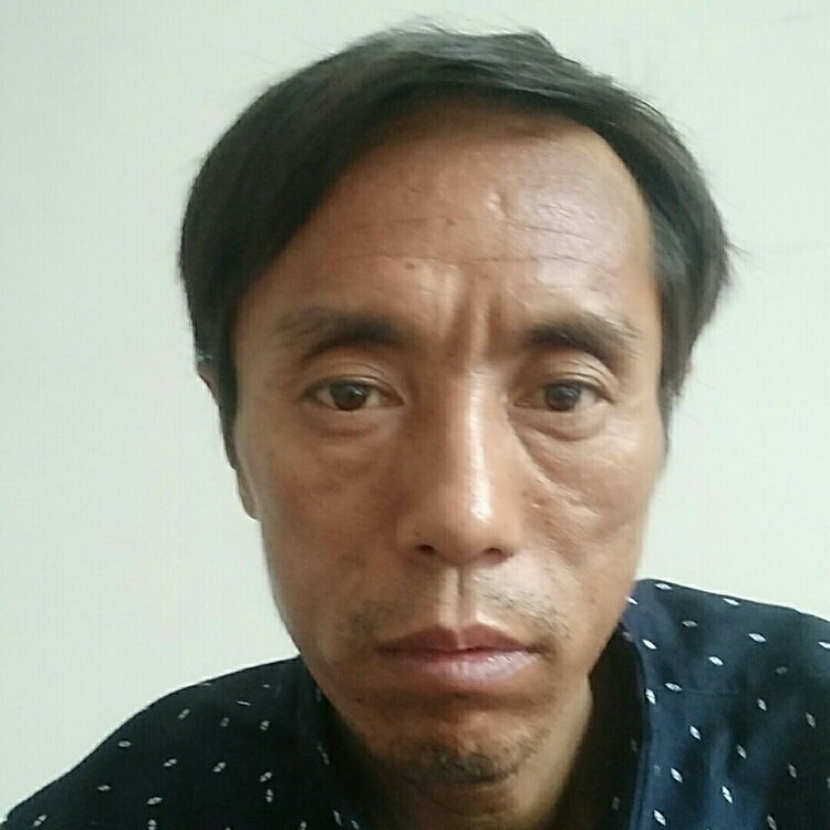 秋风不懂落叶情