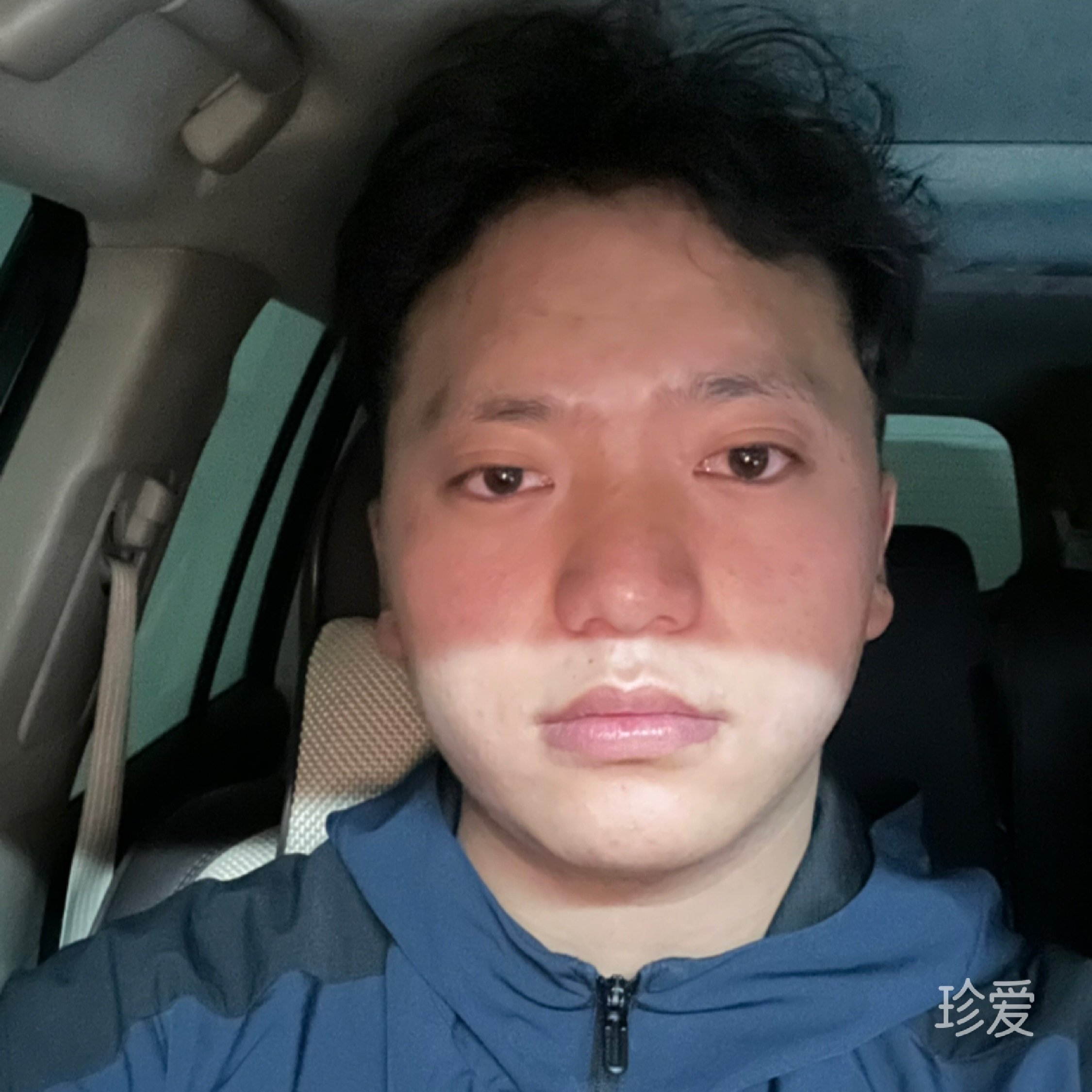 人生真情