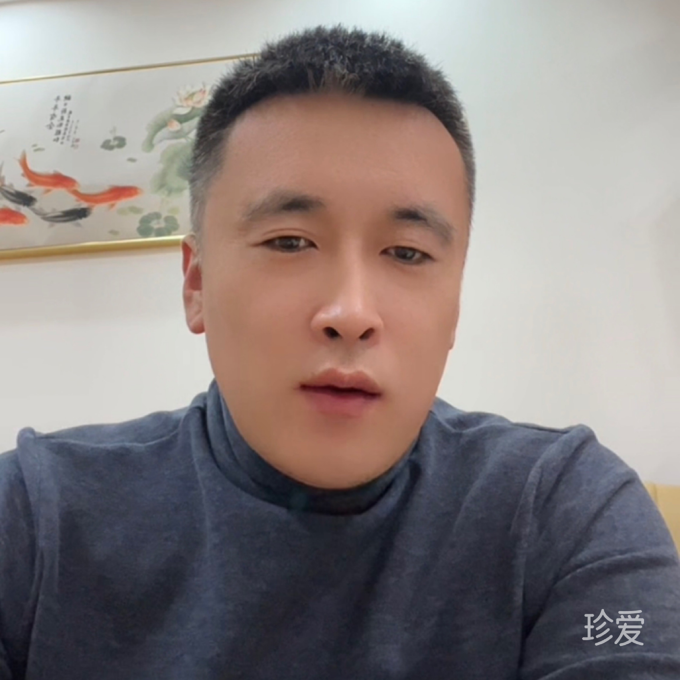 平度豆豆飞