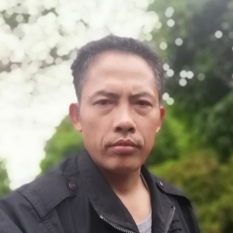 一生爱你不后悔