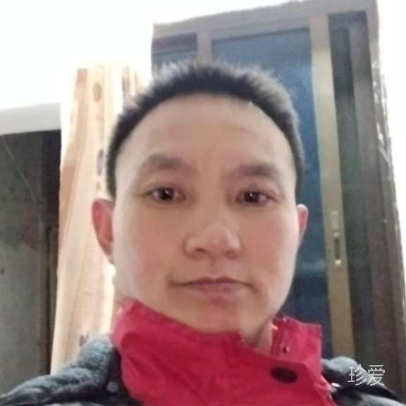 陽光燦爛的日子