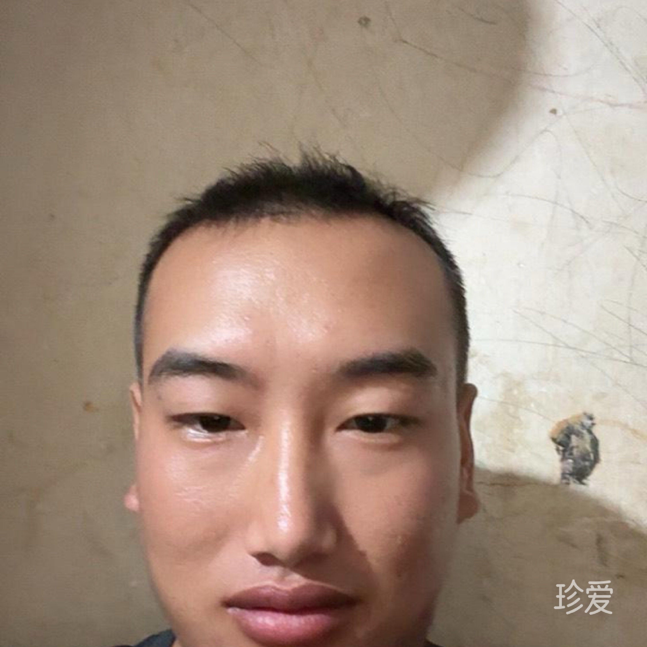柳子