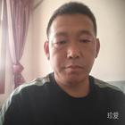 离开水的鱼