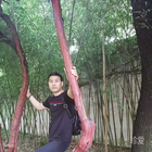大圓滿