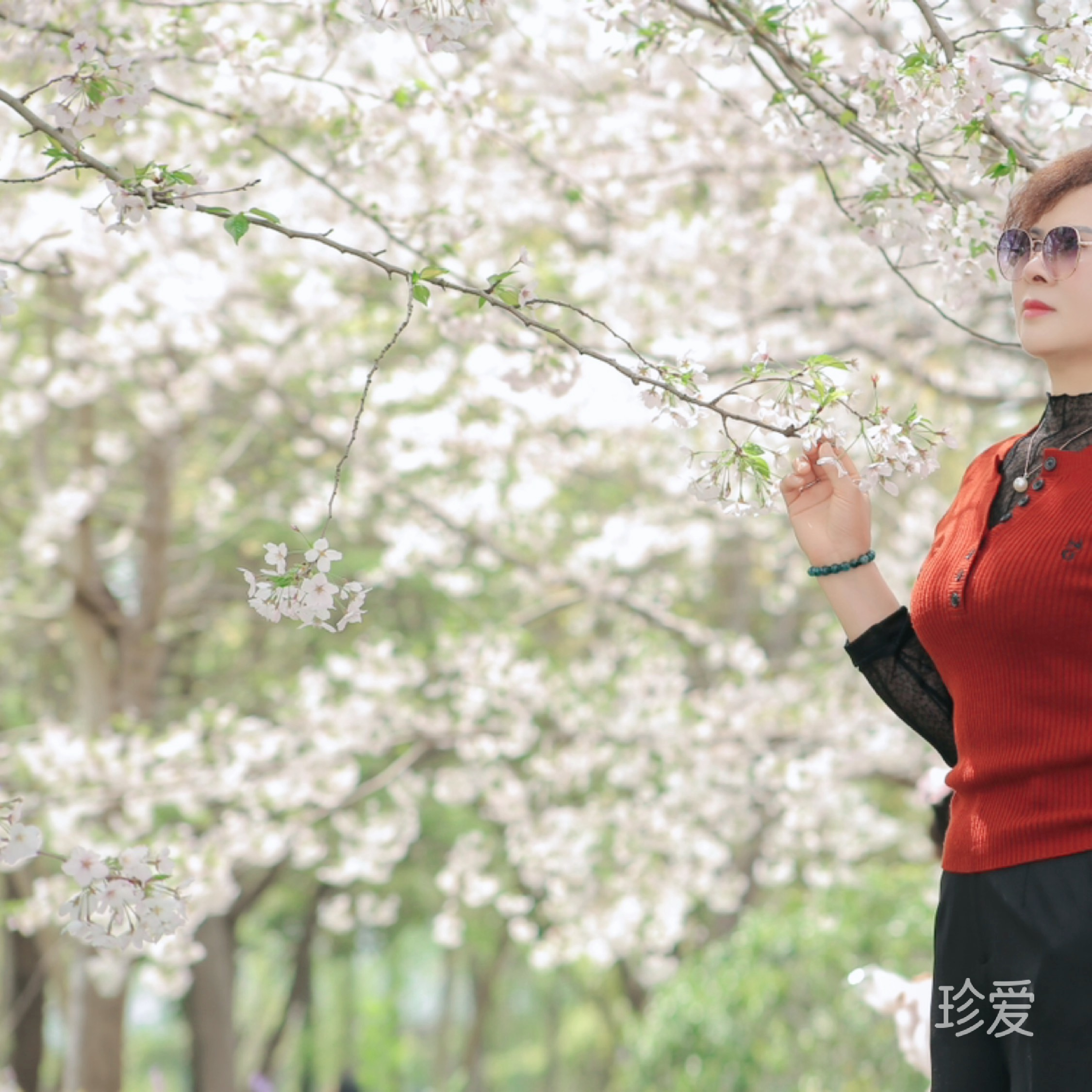 秋水无痕