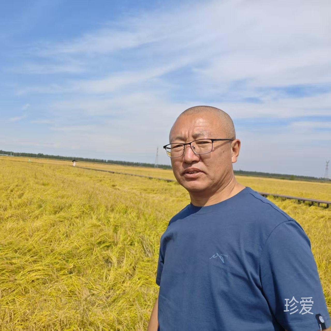 低调登场