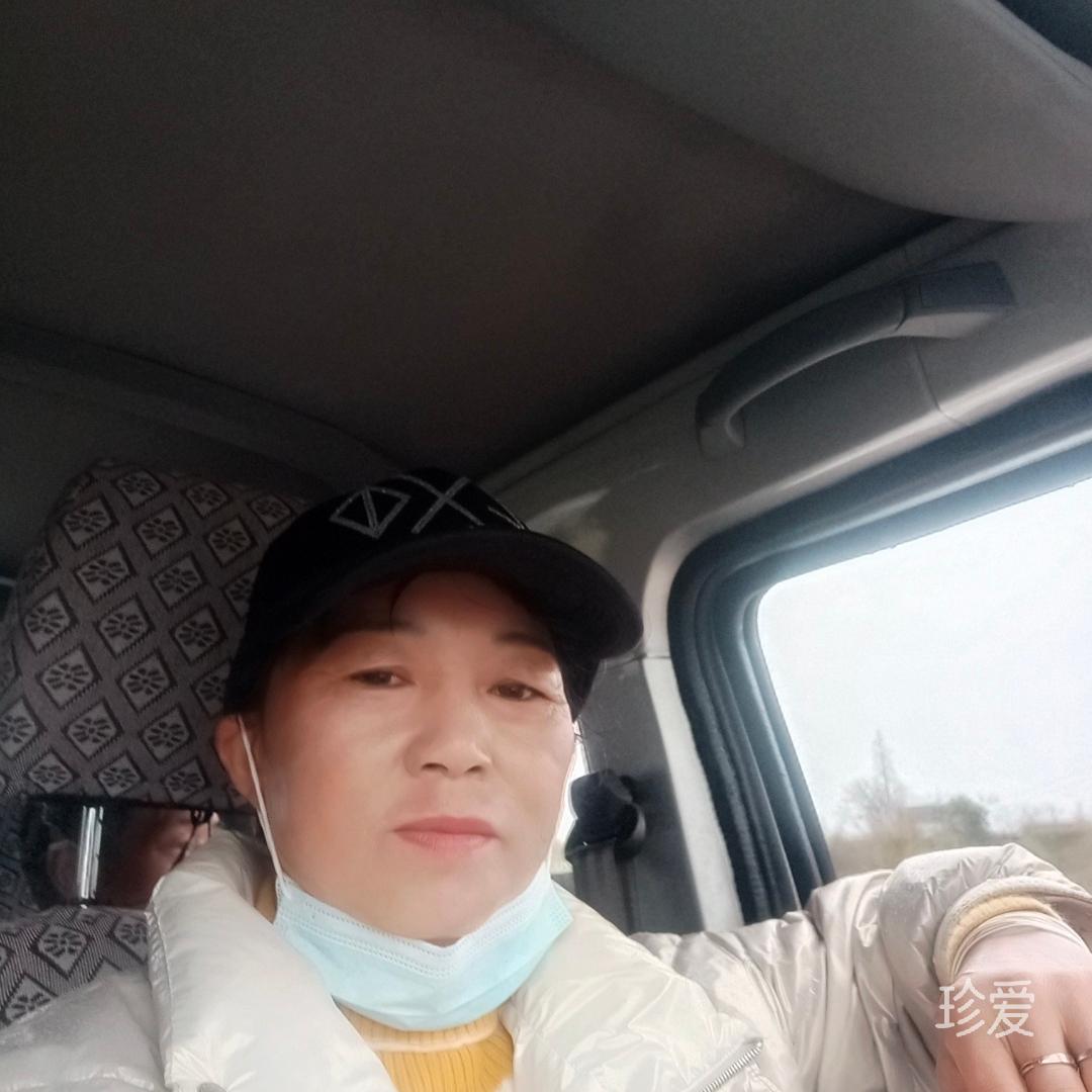 等爱的狐狸