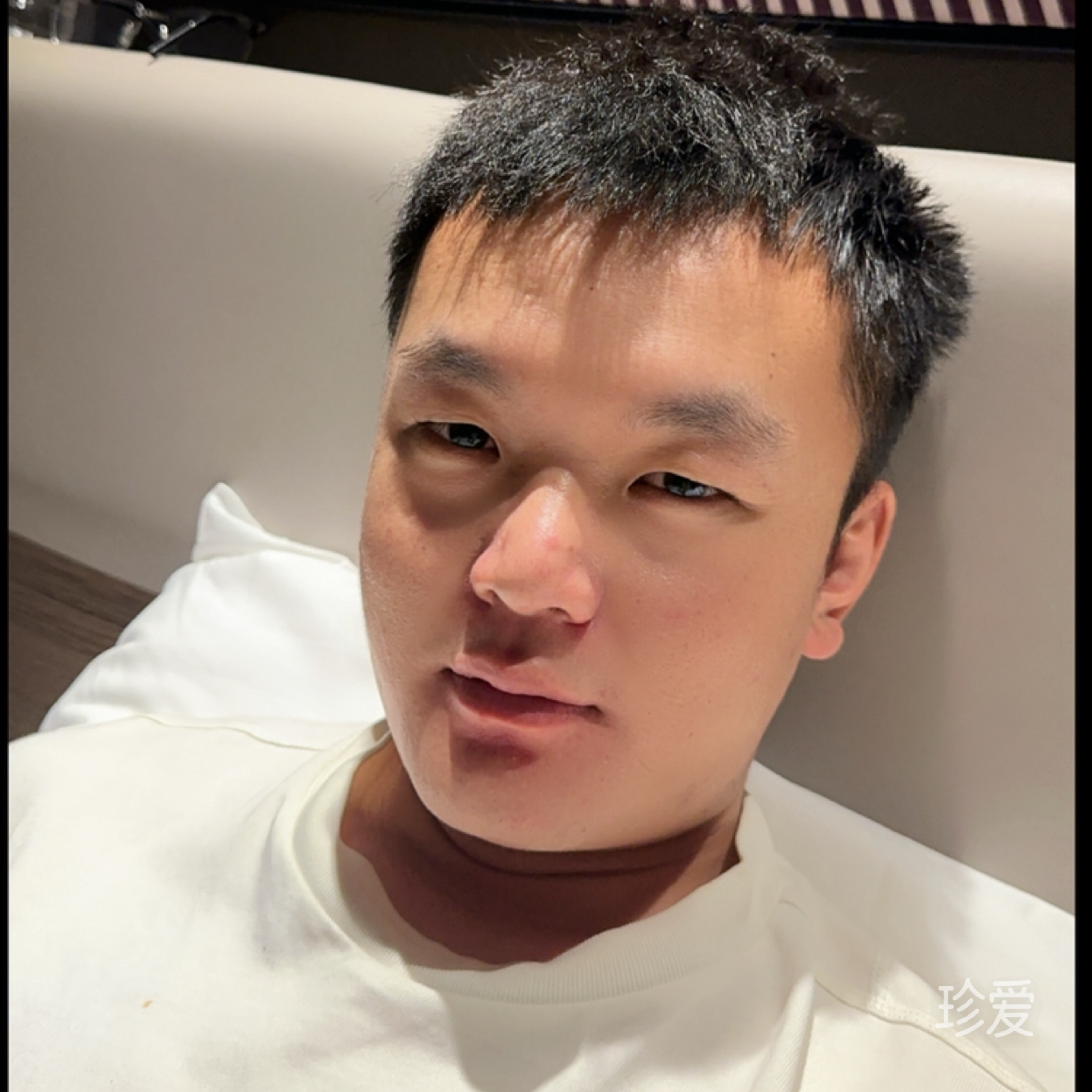 雪拉比