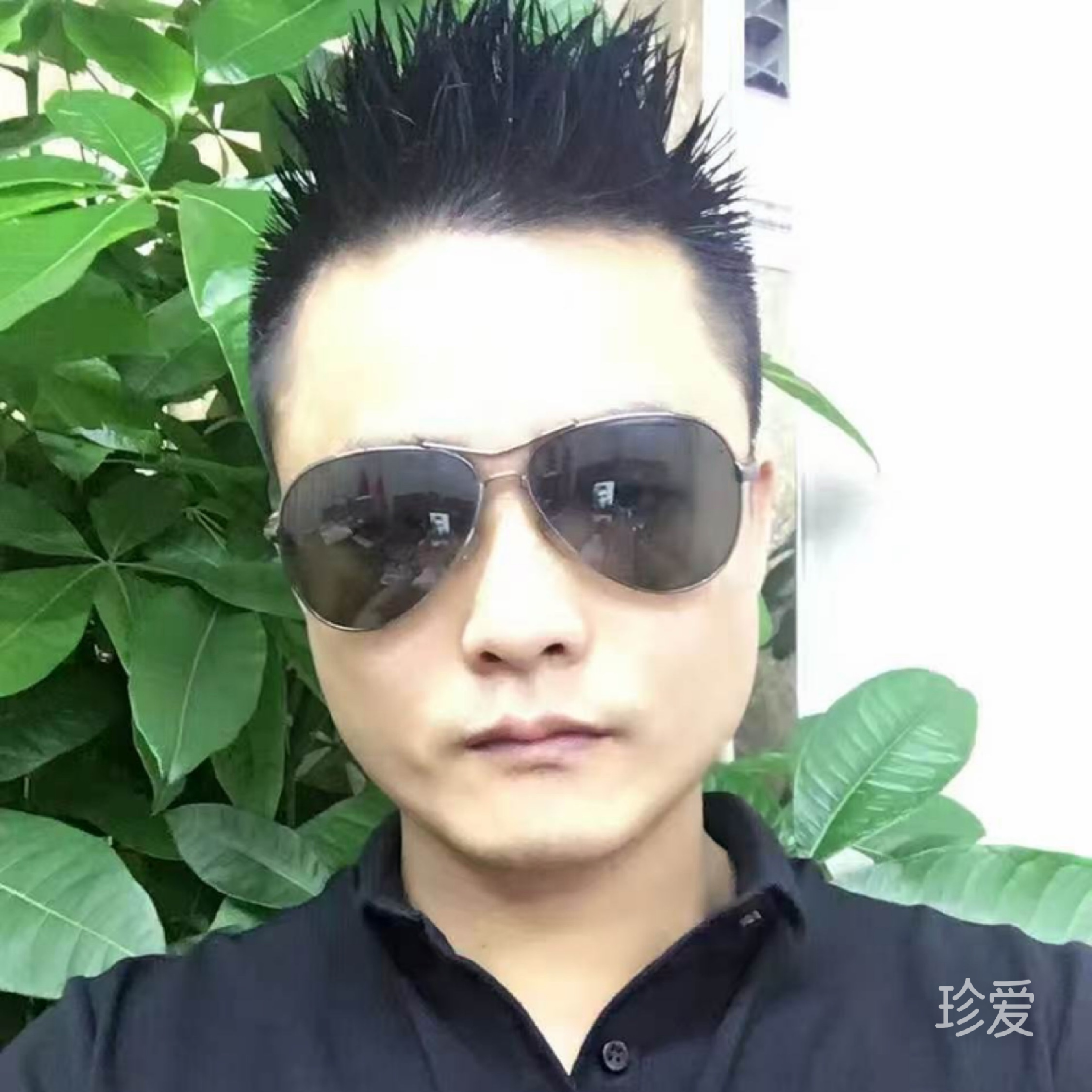 新纪元
