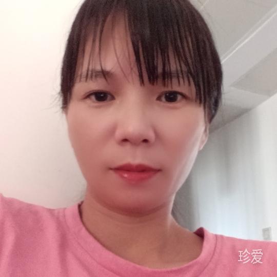 菲菲之音