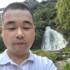 愛上魚的貓