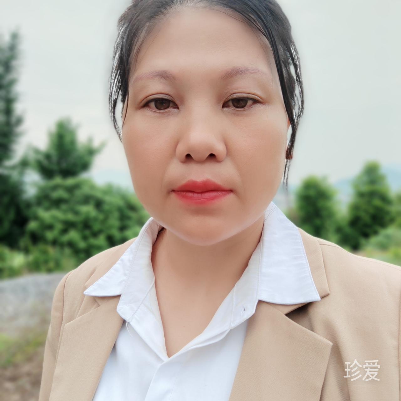 拂晓中的雪