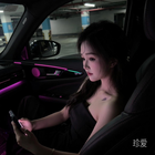 芝芝