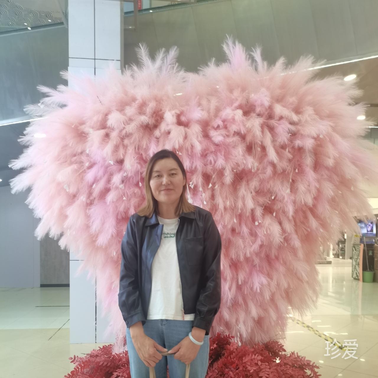 臻臻