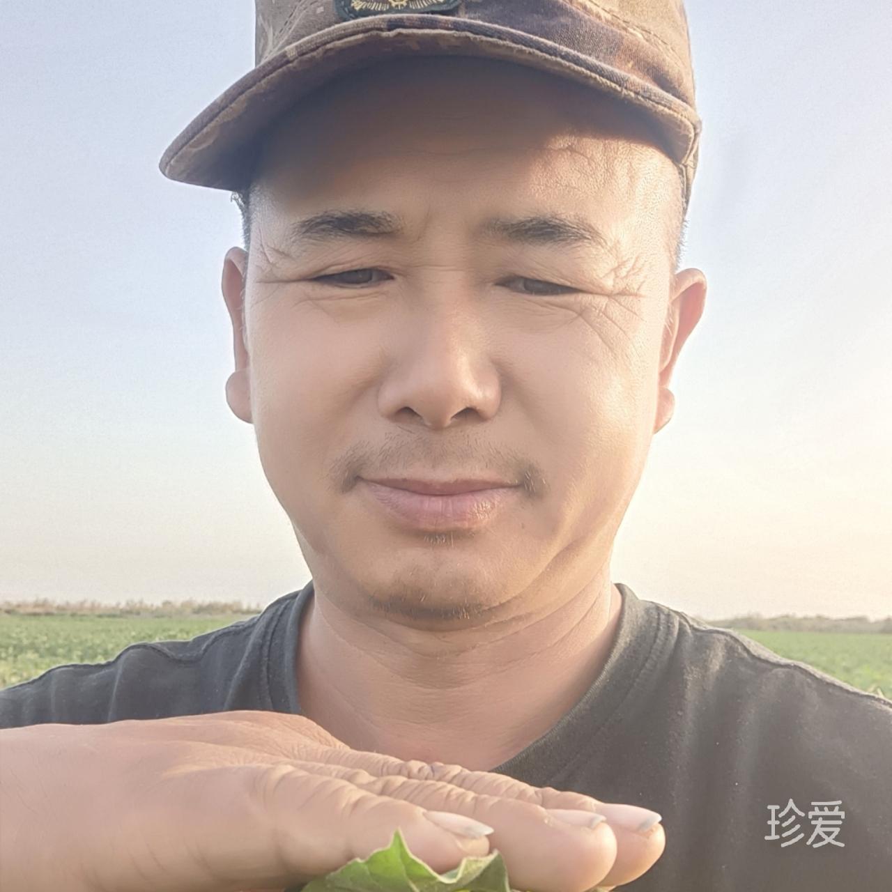 今夜随风