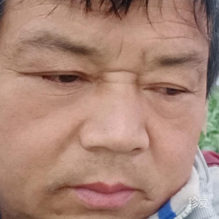 近乡情更怯