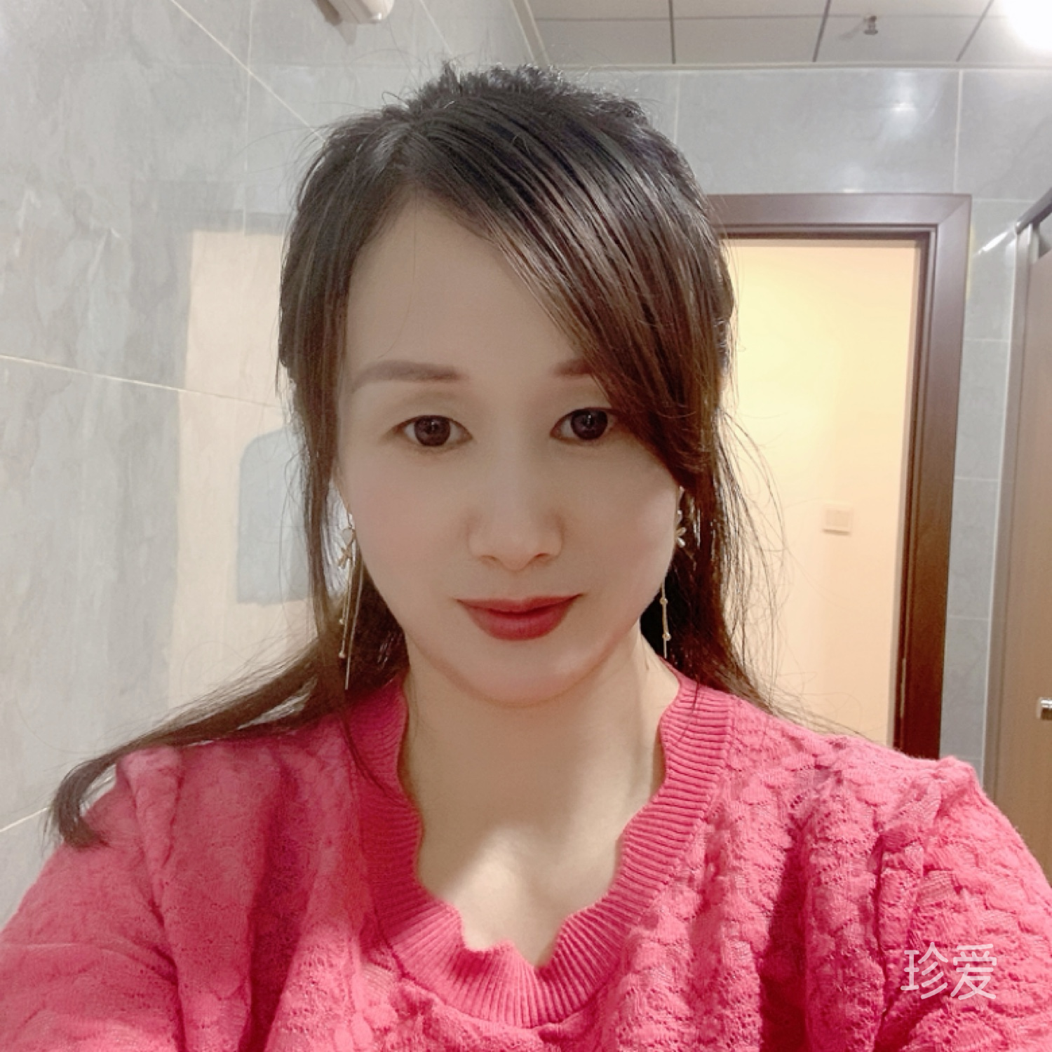 盛开的玫瑰