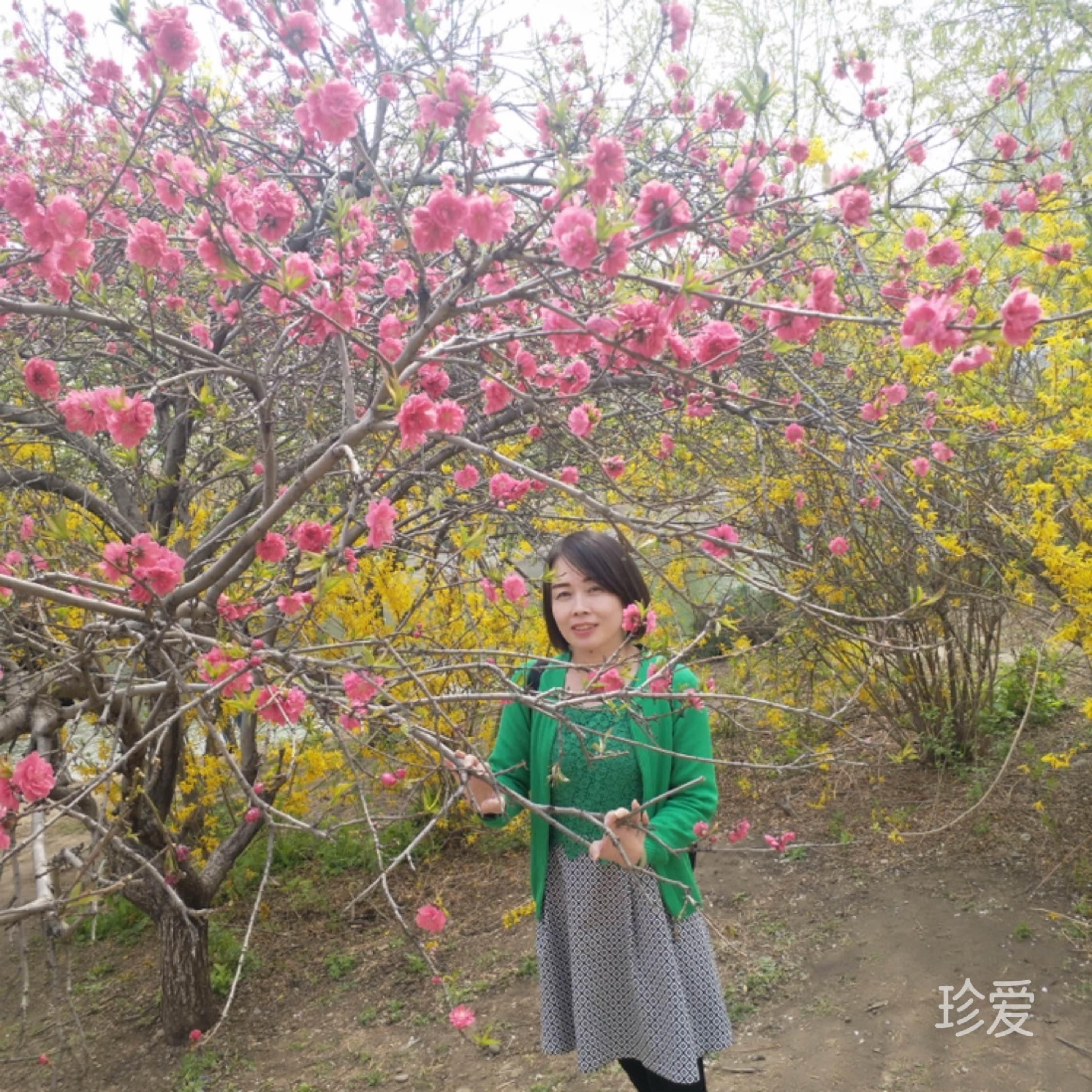 涅槃重生
