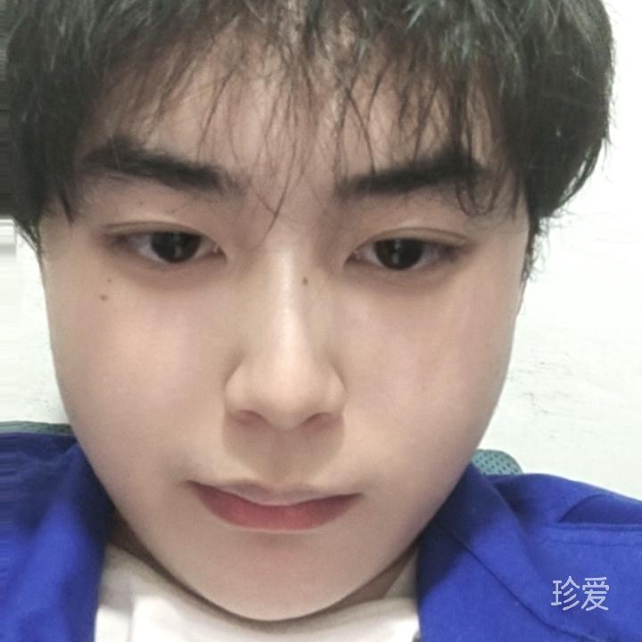 你不要谷岛酱