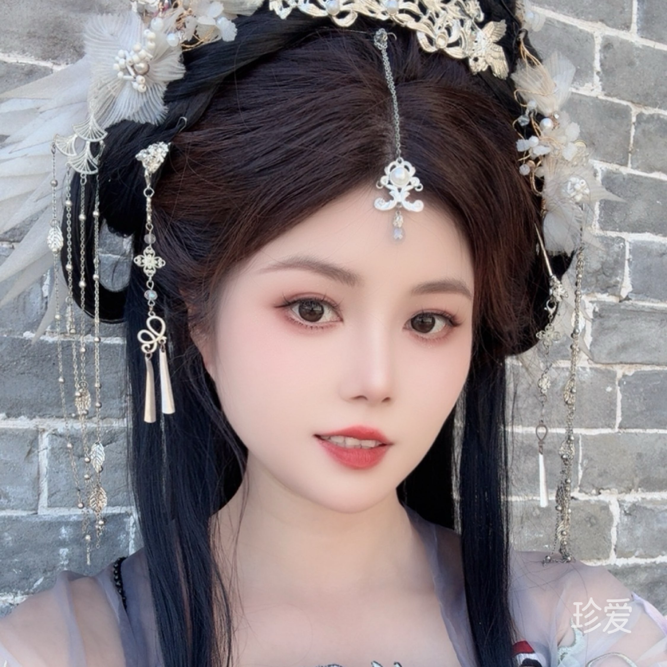爱伸懒腰的猫