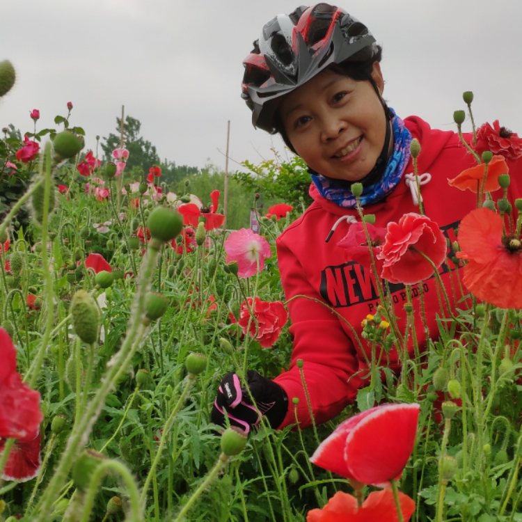 我想有個(gè)家