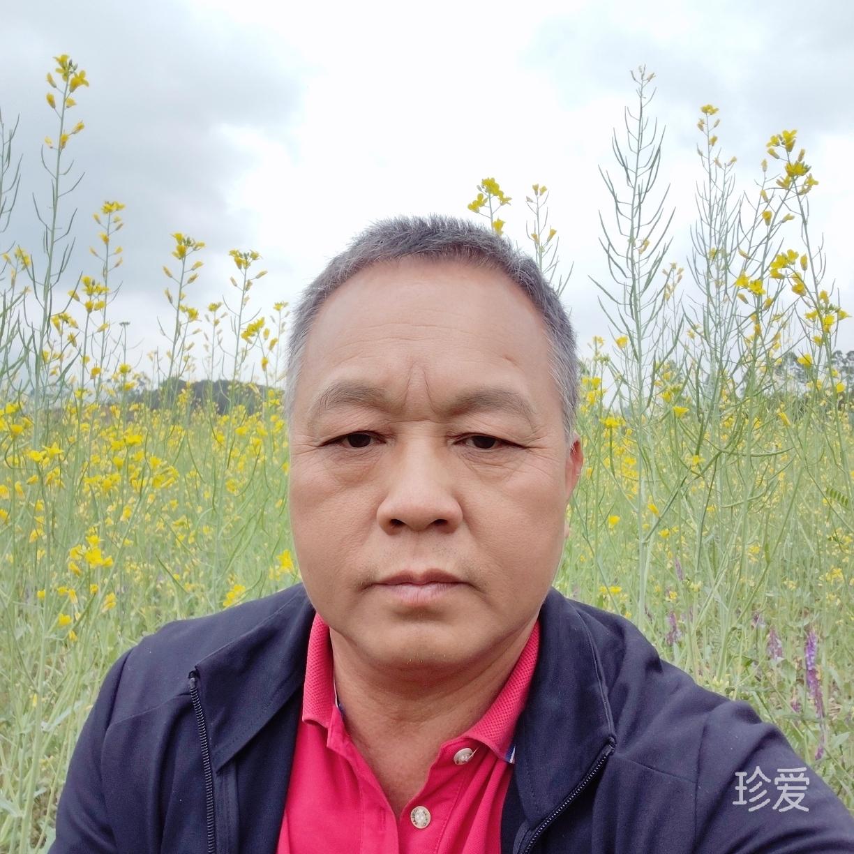 寻爱的老男孩